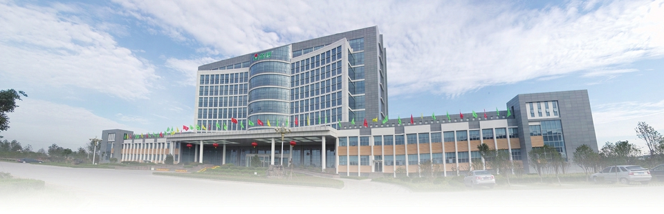 2019中国民营企业500强发布金锣集团再次实力上榜