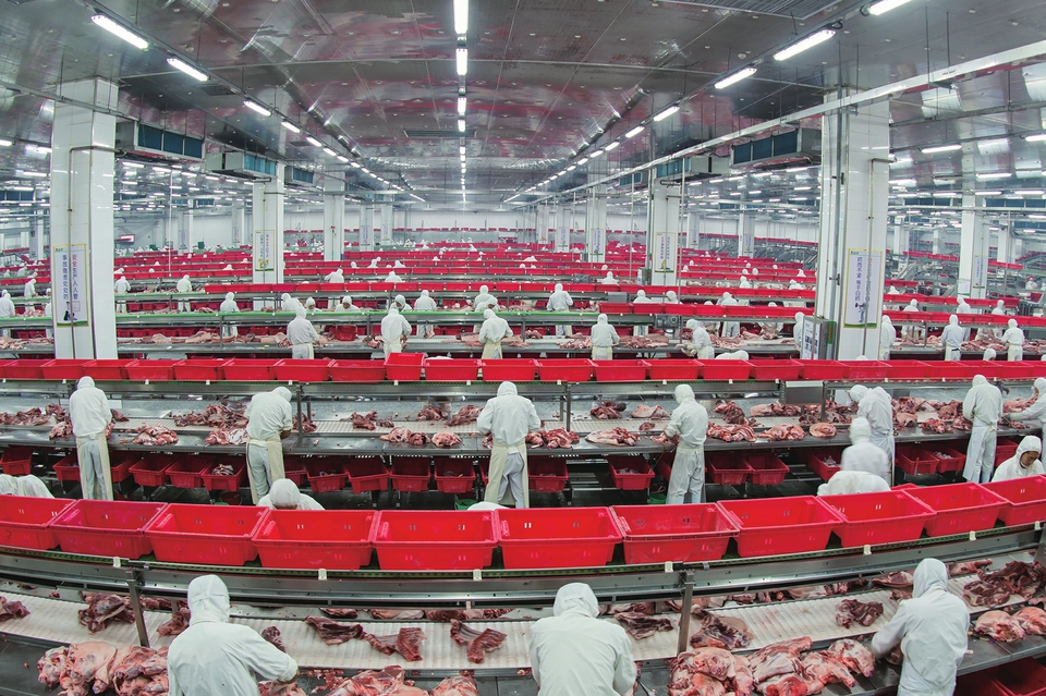 2019中国民营企业500强发布金锣集团再次实力上榜