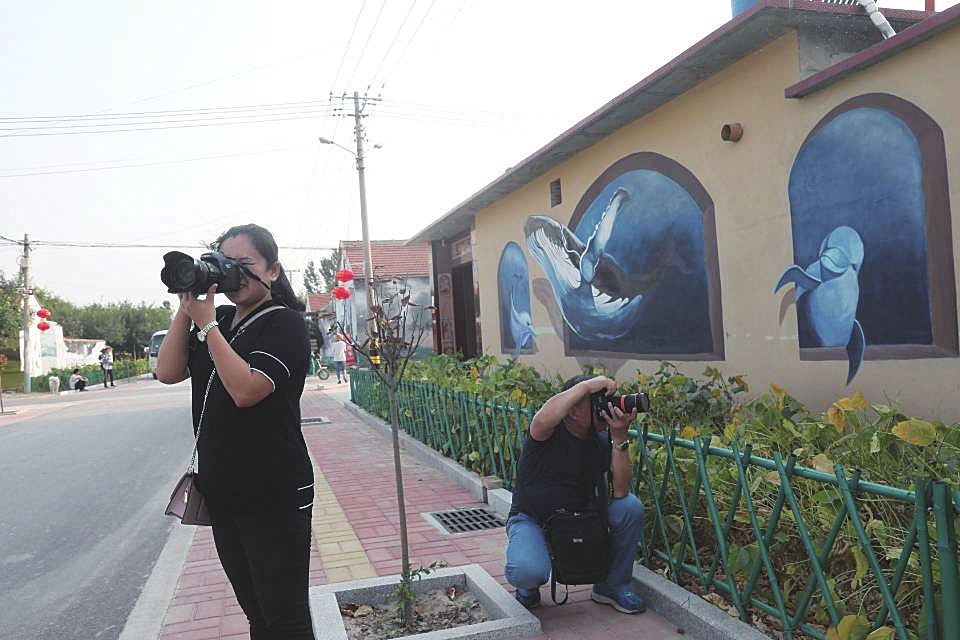 美到让人“花心” 商河县“花儿为什么这样红”主题摄影大赛进行中