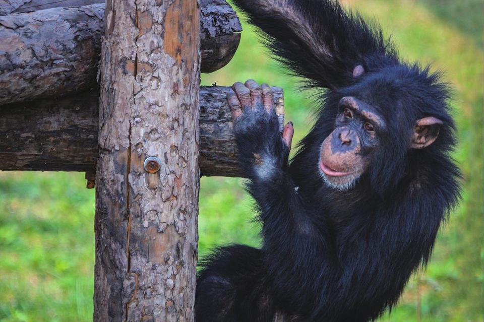 济南野生动物世界喜迎