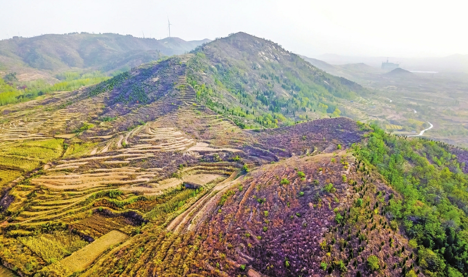 齐长城薛峪东山至马家峪西北山段长啥样？记者实地探访