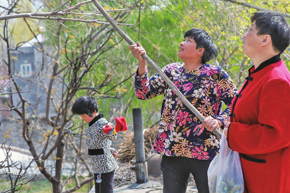 特殊的救赎：5个孩子两个妈