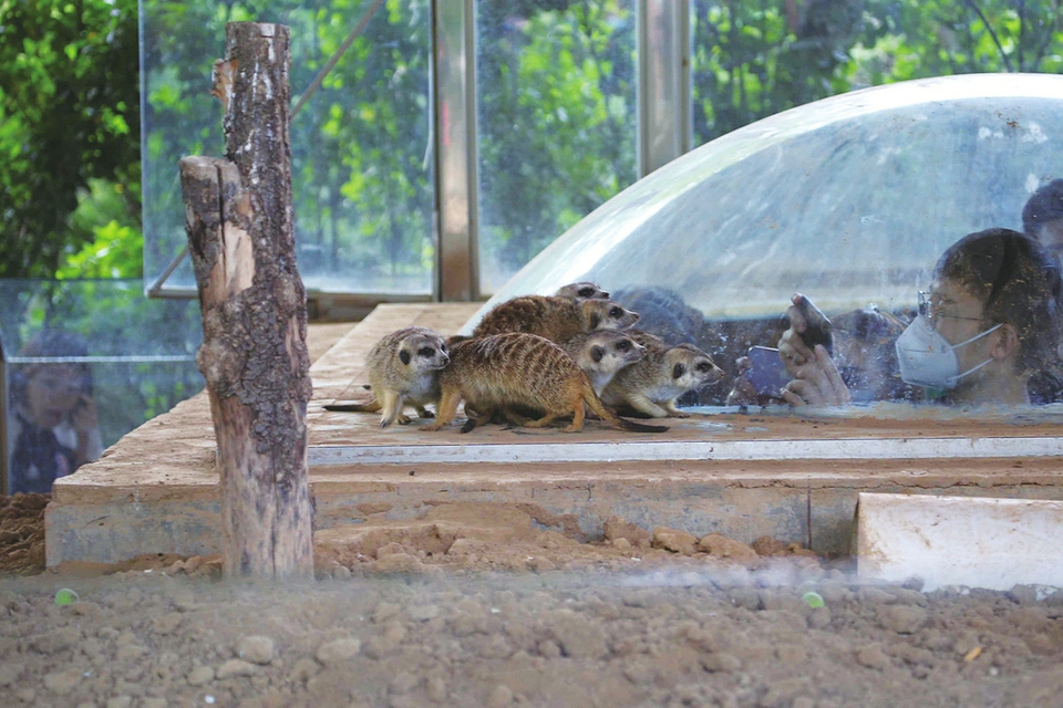 4万多游客进济野! 济南近郊游客流还将继续攀升