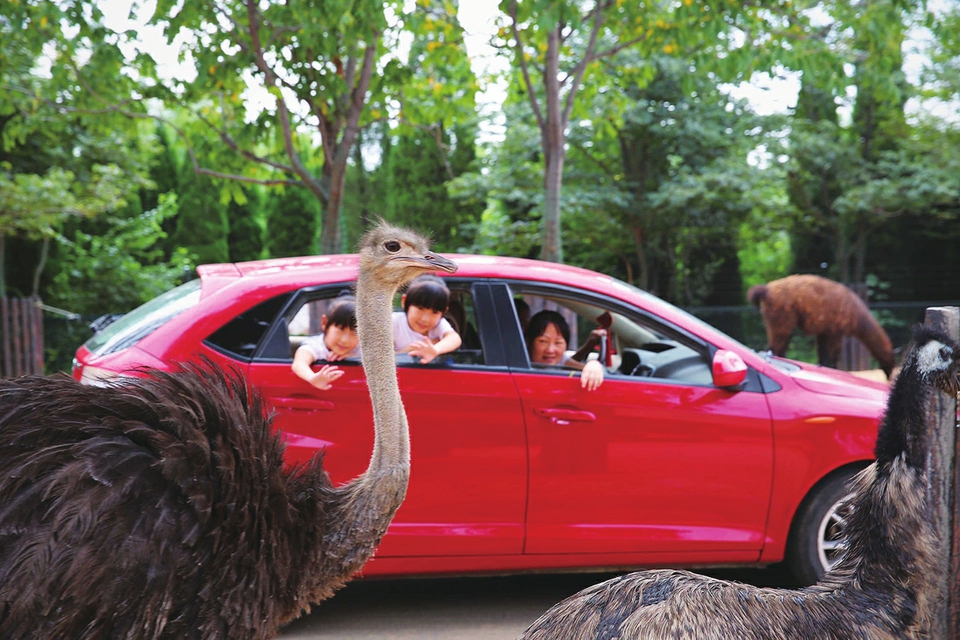 4万多游客进济野! 济南近郊游客流还将继续攀升