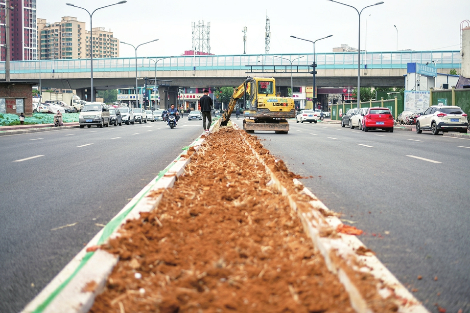 济南网红麦田无缝切换“绿化”身份