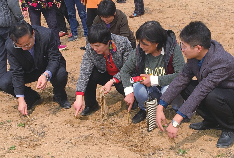 山歌食品科技股份有限公司积极发挥自身产业优势，与贫困户签订带动脱贫协议，聚力产业扶贫 “企业+农户”，携手闯市场
