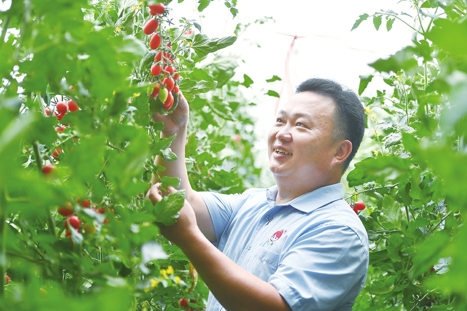 “沃小番”品牌创始人吴景春： 实现市值100亿目标，做“番茄界的华为”