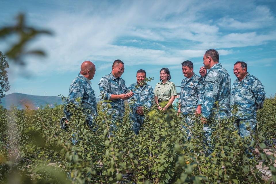 老兵脱下军装创业让山地变钙果“聚宝盆”
