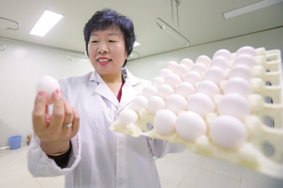 这家鸡场为新冠疫苗研发免费供蛋