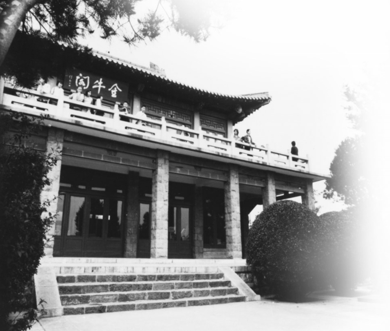 金牛公园：济南人心中的童年记忆