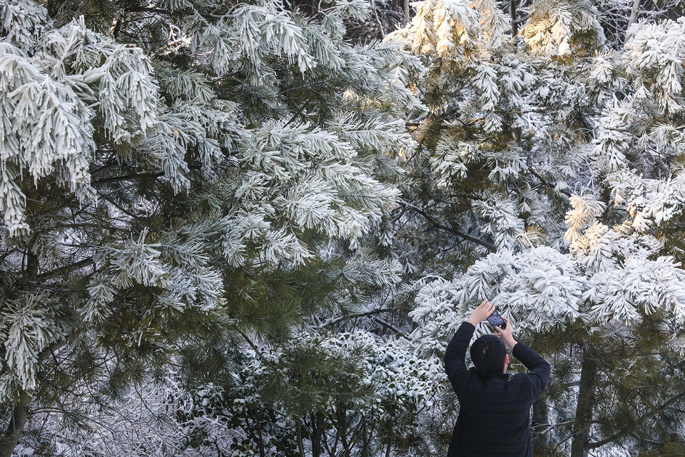 济南昨发今年首个寒潮黄色预警 周四早晨最低温或达-24℃