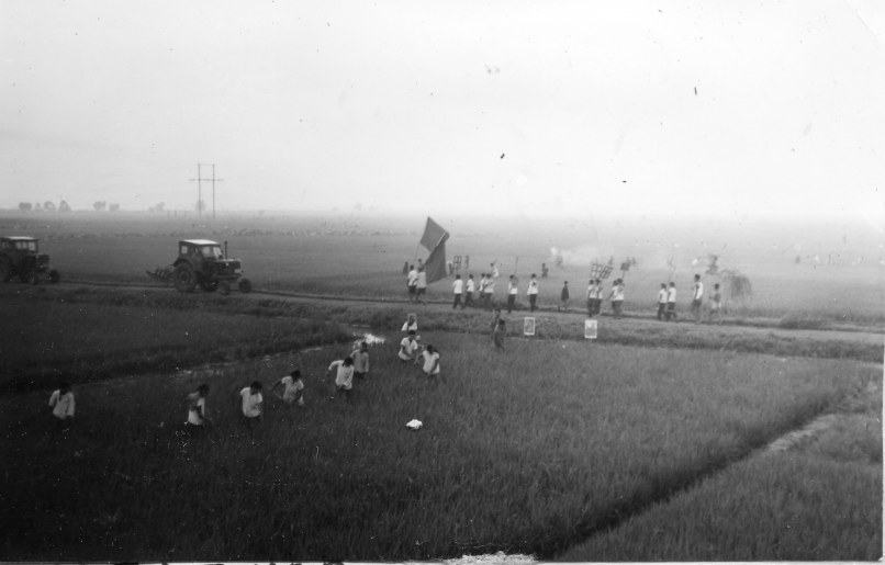 北园：从十里荷香到车水马龙