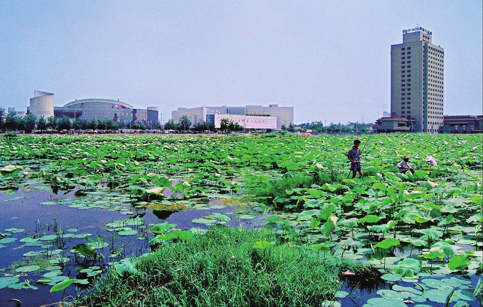 北园：从十里荷香到车水马龙