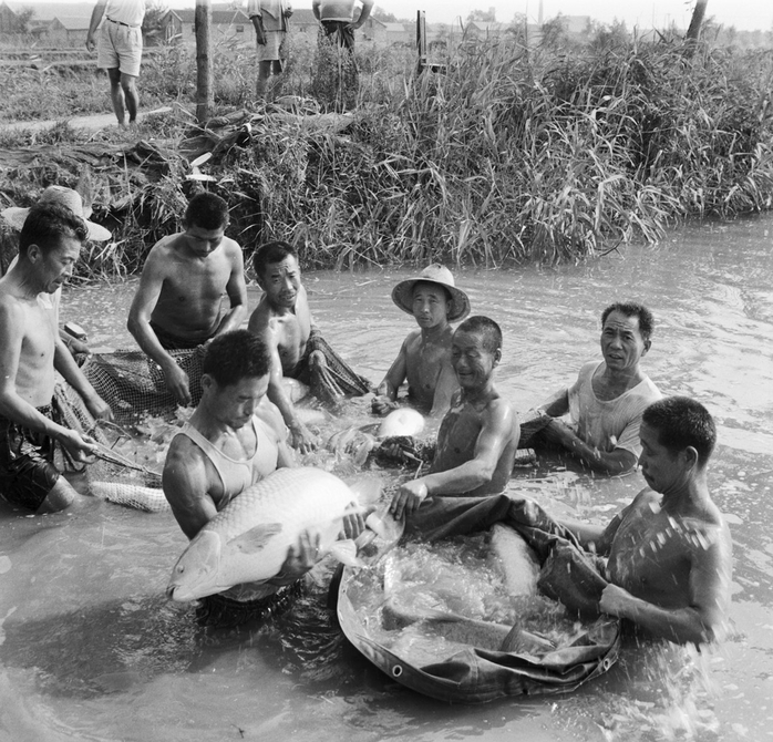 北园：从十里荷香到车水马龙