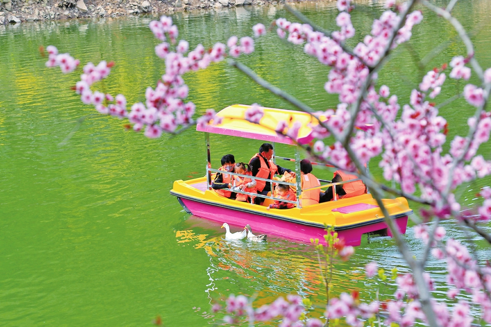 济南红叶谷春意盎然百花盛放